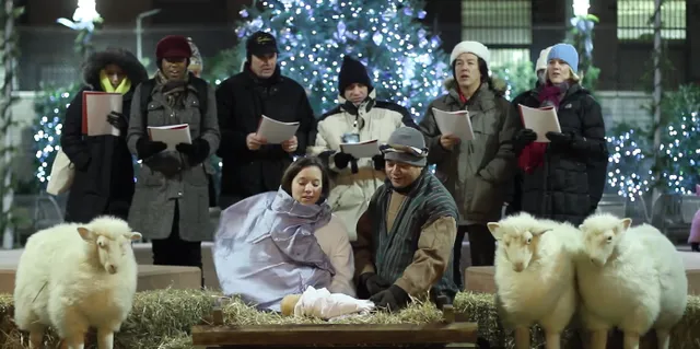 Uitgelichte afbeelding