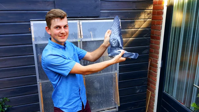 Uitgelichte afbeelding