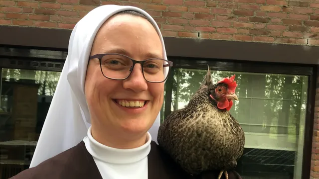 Uitgelichte afbeelding