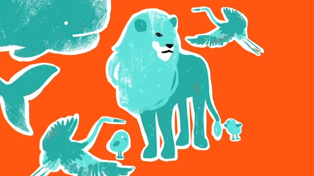 Uitgelichte afbeelding