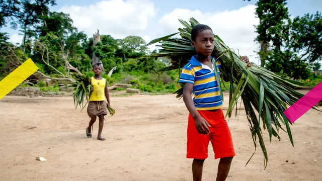 Uitgelichte afbeelding