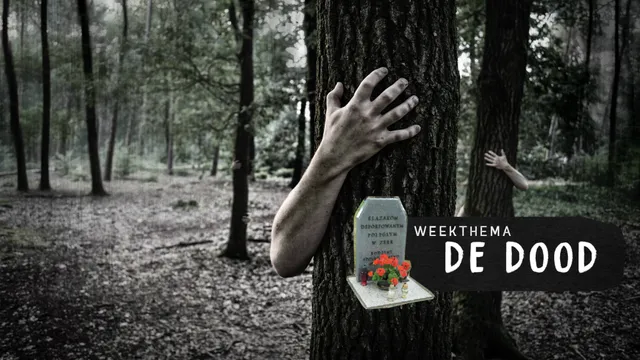 Uitgelichte afbeelding