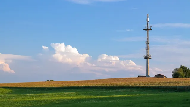 Uitgelichte afbeelding