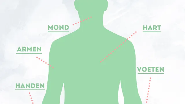 Uitgelichte afbeelding