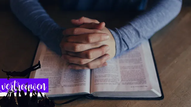 Uitgelichte afbeelding