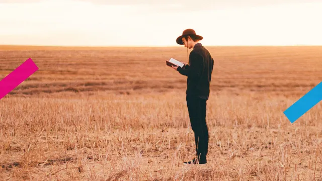 Uitgelichte afbeelding