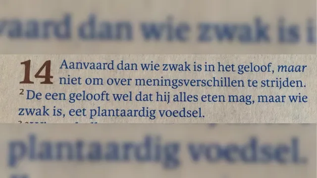 Uitgelichte afbeelding