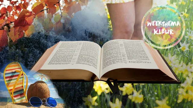 Uitgelichte afbeelding