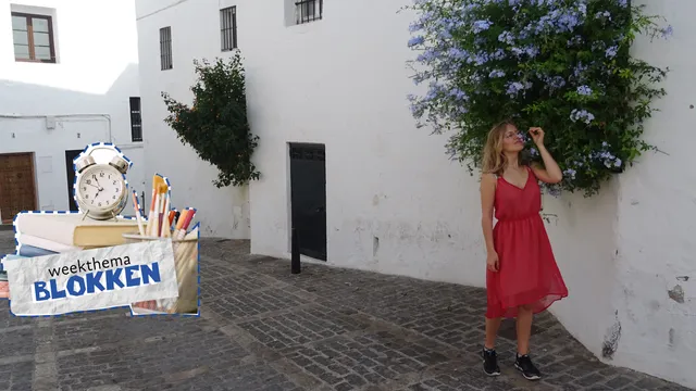 Uitgelichte afbeelding