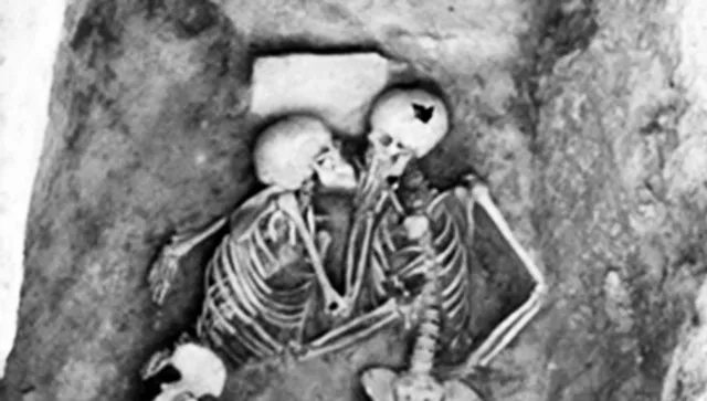 Uitgelichte afbeelding