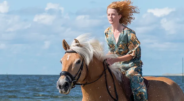 Uitgelichte afbeelding