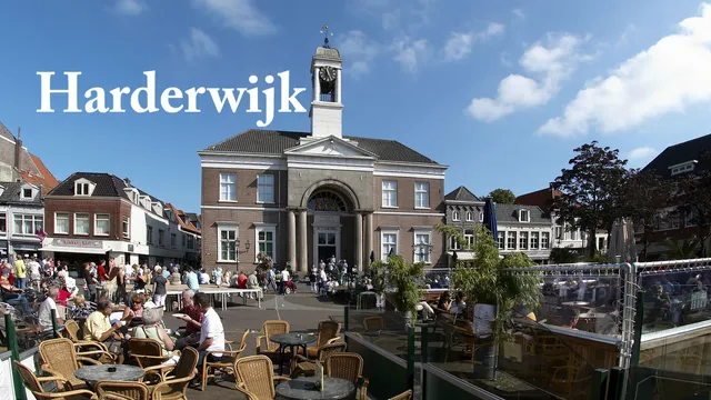 Uitgelichte afbeelding