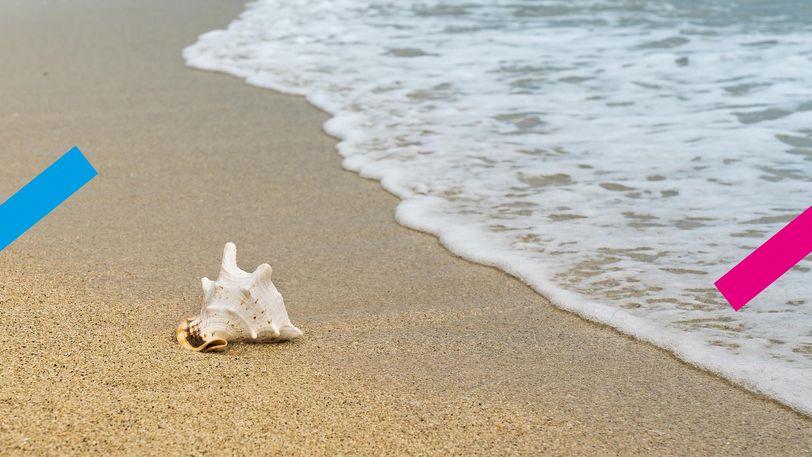 6 x hilarische TikToks over het strand