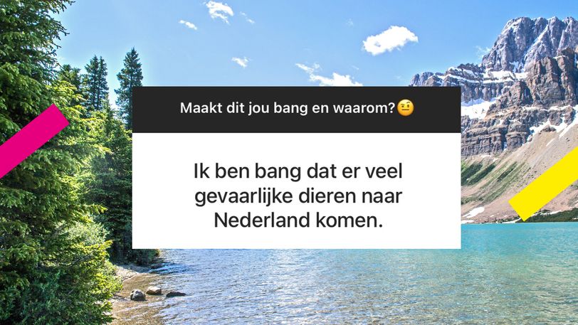 Ben jij bang voor klimaatverandering? 👉 'Ik weet niet of ik nog wel kinderen wil'